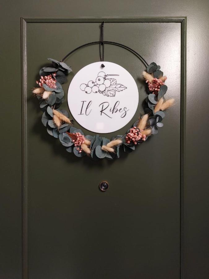 Residence Dei Frutti Pieno Centro - Il Ribes 파도바 외부 사진